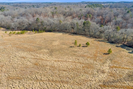 49+/- Acres of Beautiful Pasture with Two Ponds and a creek! - image 38