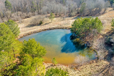 49+/- Acres of Beautiful Pasture with Two Ponds and a creek! - image 27