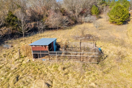 49+/- Acres of Beautiful Pasture with Two Ponds and a creek! - image 25