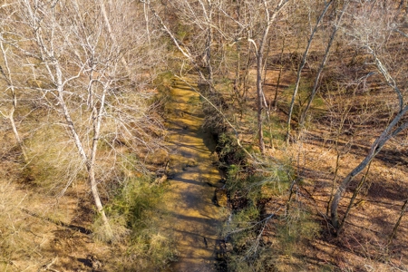 49+/- Acres of Beautiful Pasture with Two Ponds and a creek! - image 18