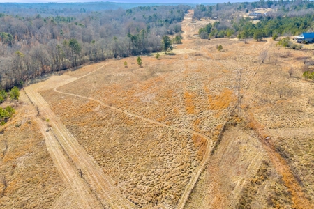 49+/- Acres of Beautiful Pasture with Two Ponds and a creek! - image 39