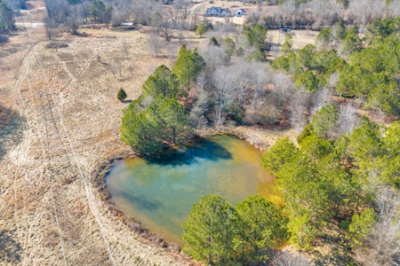 49+/- Acres of Beautiful Pasture with Two Ponds and a creek! - image 9
