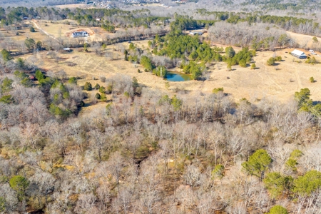 49+/- Acres of Beautiful Pasture with Two Ponds and a creek! - image 32