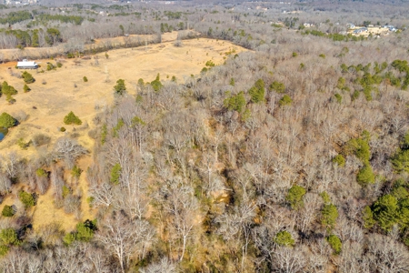 49+/- Acres of Beautiful Pasture with Two Ponds and a creek! - image 31
