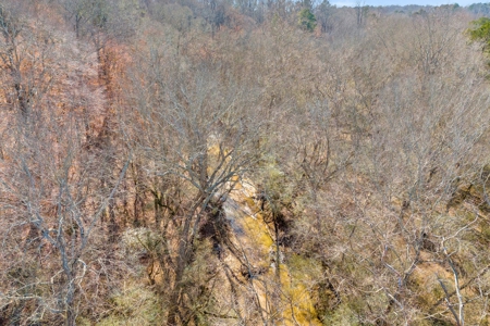 49+/- Acres of Beautiful Pasture with Two Ponds and a creek! - image 19