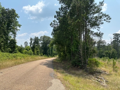 Building Land For Sale in Emerson, AR - image 3