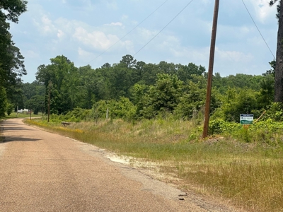 Building Land For Sale in Emerson, AR - image 2