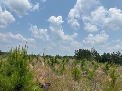 Building Land For Sale in Emerson, AR - image 1