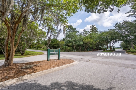 Nice Building lot on Lady's Island - image 3
