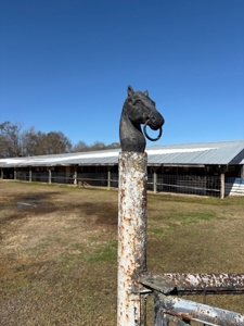28.7-Acre Development Opportunity on the Coveted Coteau - image 3