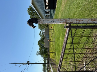 28.7-Acre Development Opportunity on the Coveted Coteau - image 15