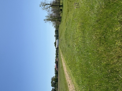 28.7-Acre Development Opportunity on the Coveted Coteau - image 6