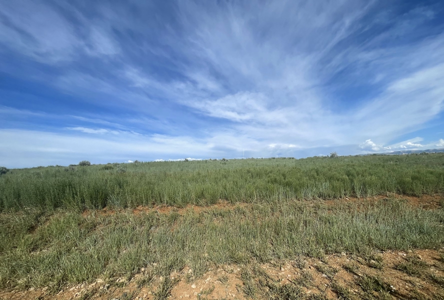 13076 TBD Road 17.9