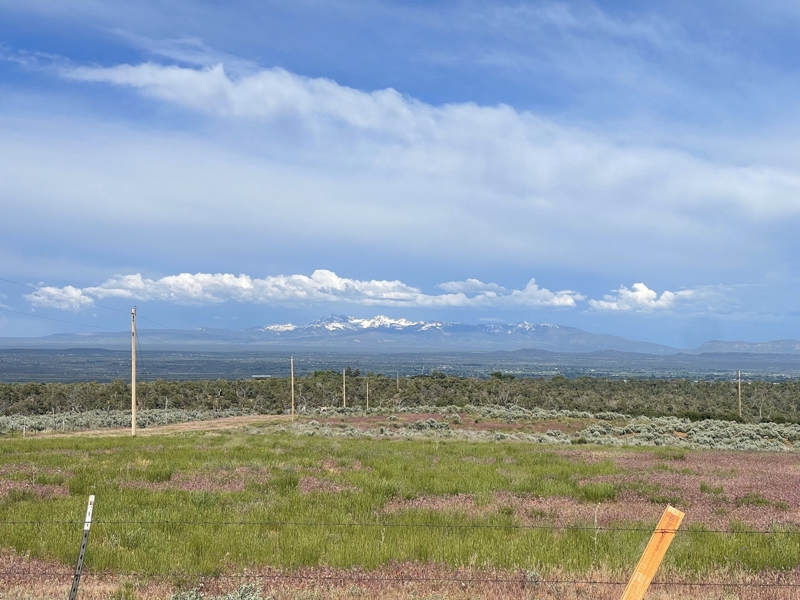 13076 TBD Road 17.9 FOR SALE by Bonnie Leighton