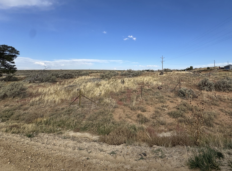 For Sale by Bonnie Leighton