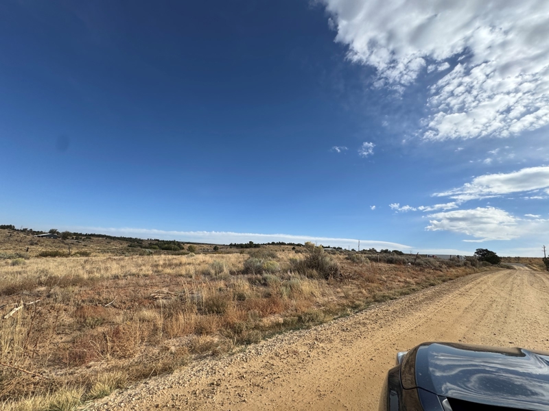 For SAle by Bonnie Leighton