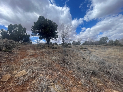 Tiny Home on Residential Lot in Dove Creek, Co - image 45