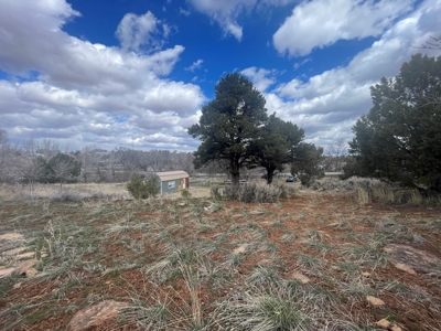 Tiny Home on Residential Lot in Dove Creek, Co - image 41