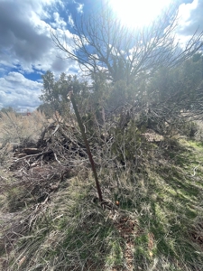 Tiny Home on Residential Lot in Dove Creek, Co - image 34