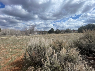 Tiny Home on Residential Lot in Dove Creek, Co - image 24