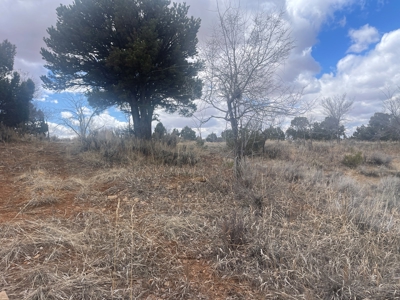 Tiny Home on Residential Lot in Dove Creek, Co - image 46