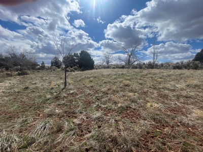 Tiny Home on Residential Lot in Dove Creek, Co - image 22