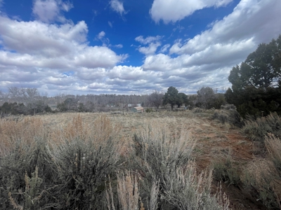 Tiny Home on Residential Lot in Dove Creek, Co - image 39