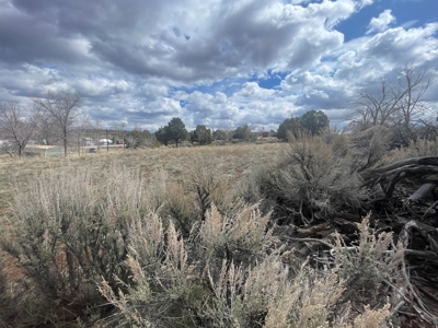 Tiny Home on Residential Lot in Dove Creek, Co - image 35