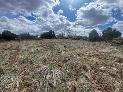 Tiny Home on Residential Lot in Dove Creek, Co - image 32