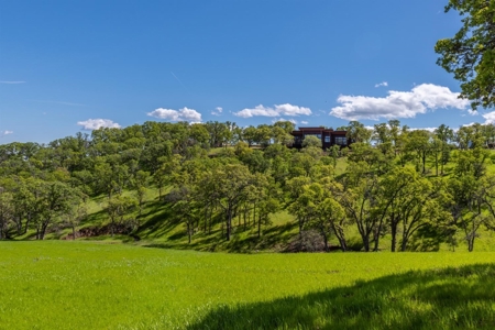 Country Estate with 2 Homes in Winters, CA for Sale - image 47