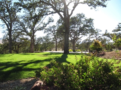 Country Estate with 2 Homes in Winters, CA for Sale - image 45