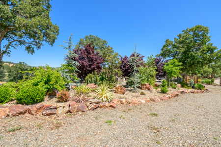 Country Estate with 2 Homes in Winters, CA for Sale - image 49
