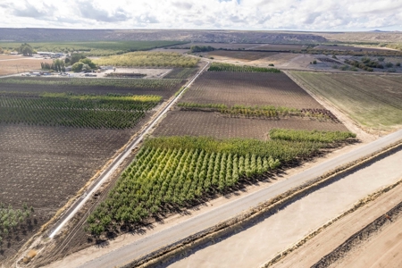 Beautiful Home and Farm for Sale in Chamberino, New Mexico - image 43