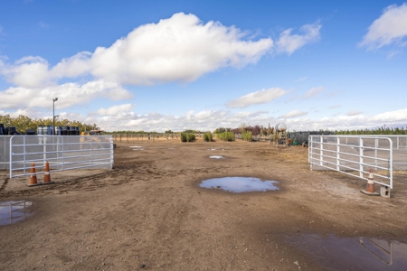 Beautiful Home and Farm for Sale in Chamberino, New Mexico - image 32