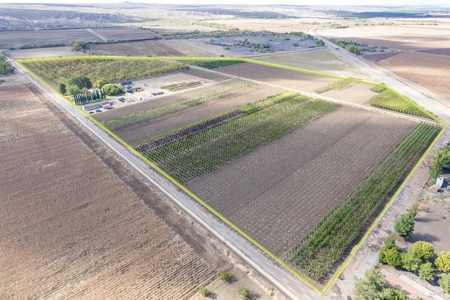 Beautiful Home and Farm for Sale in Chamberino, New Mexico - image 41