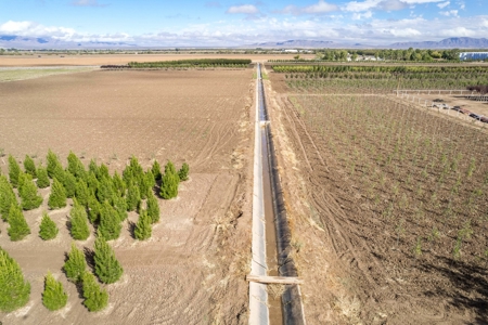 Beautiful Home and Farm for Sale in Chamberino, New Mexico - image 45