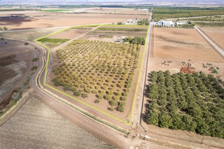 Beautiful Home and Farm for Sale in Chamberino, New Mexico - image 49