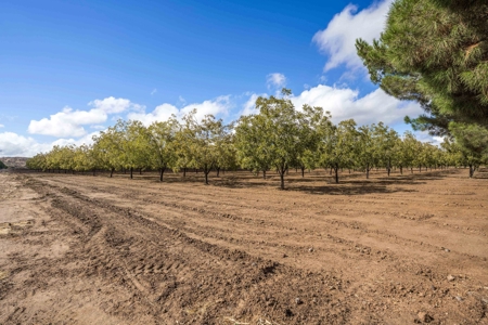 Beautiful Home and Farm for Sale in Chamberino, New Mexico - image 36