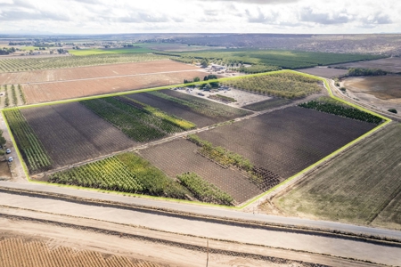 Beautiful Home and Farm for Sale in Chamberino, New Mexico - image 42