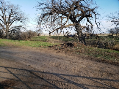 Little Bullwhacker Grazing & Milk River Montana Hay Base - image 38