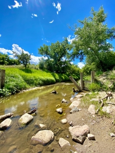 Little Bullwhacker Grazing & Milk River Montana Hay Base - image 30