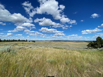 Little Bullwhacker Grazing & Milk River Montana Hay Base - image 5