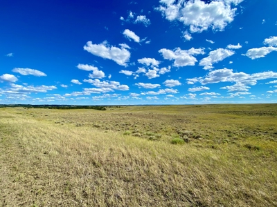 Little Bullwhacker Grazing & Milk River Montana Hay Base - image 10