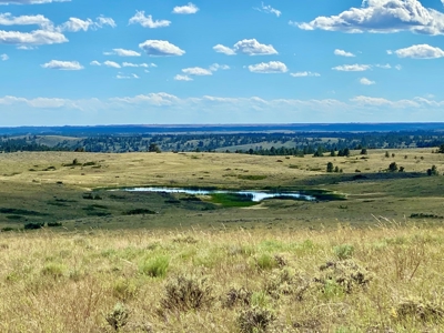 Little Bullwhacker Grazing & Milk River Montana Hay Base - image 1