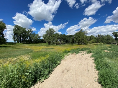 Little Bullwhacker Grazing & Milk River Montana Hay Base - image 13