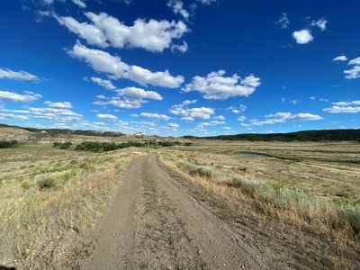 Little Bullwhacker Grazing & Milk River Montana Hay Base - image 2