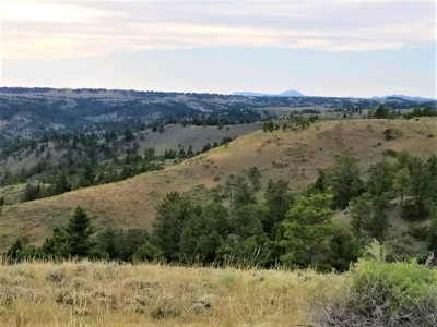 Little Bullwhacker Grazing & Milk River Montana Hay Base - image 12