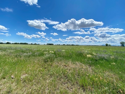 Little Bullwhacker Grazing & Milk River Montana Hay Base - image 21