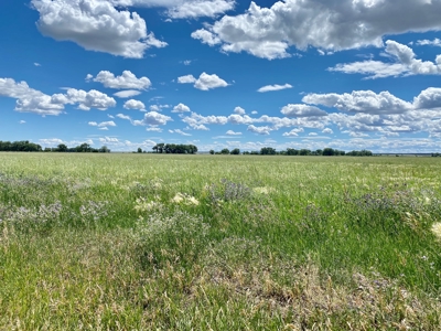 Little Bullwhacker Grazing & Milk River Montana Hay Base - image 37