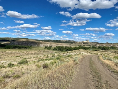 Little Bullwhacker Grazing & Milk River Montana Hay Base - image 7